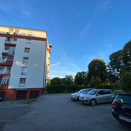 Regal Comfort Pirot